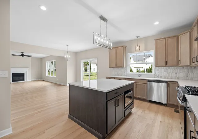 Photo 2 of Single family home for sale at Lot S 465   26612 Samantha Ct, Channahon, IL 60410 | MLS# 12718089 | Listing updated on 2026-08-25