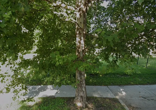 Photo 1 of Land for sale at 6010 S Union Ave, Chicago, IL 60621 | MLS# 12719167 | Listing updated on 2026-08-10
