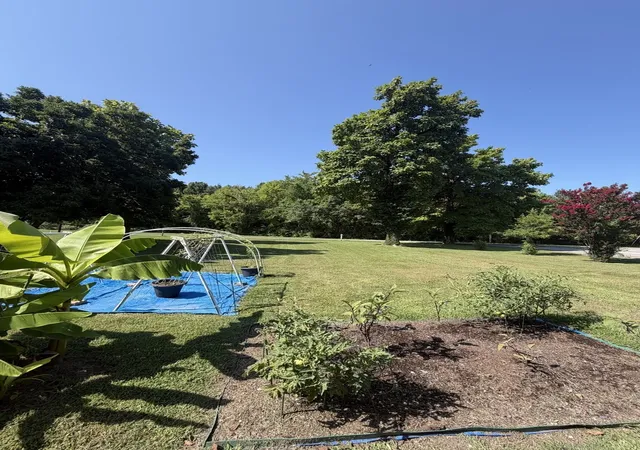 Photo 19 of Single family home for sale at 808 W 10th Street, Metropolis, IL 62960 | MLS# 12720457 | Listing updated on 2026-10-02