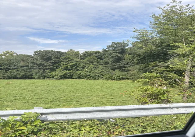 Photo 15 of Land for sale at 000 N Tolle Ln, Mt Vernon, IL 62864 | MLS# 12721088 | Listing updated on 2026-08-08