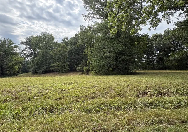 Photo 2 of Land for sale at 000 N Tolle Ln, Mt Vernon, IL 62864 | MLS# 12721088 | Listing updated on 2026-08-08