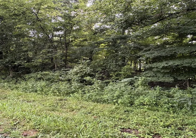 Photo 3 of Land for sale at 000 N Tolle Ln, Mt Vernon, IL 62864 | MLS# 12721088 | Listing updated on 2026-08-08