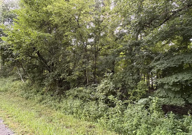 Photo 4 of Land for sale at 000 N Tolle Ln, Mt Vernon, IL 62864 | MLS# 12721088 | Listing updated on 2026-08-08