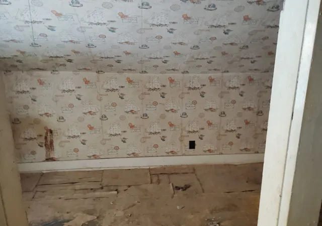 Photo 4 of Single family home for sale at 1008 Main St, Mendota, IL 61342 | MLS# 12721282 | Listing updated on 2026-10-29