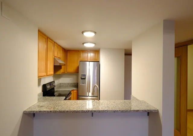 Photo 3 of Sale Pending at 1828 S Wentworth Ave #4B, Chicago, IL 60616 | MLS# 12722181 | Listing updated on 2026-08-06