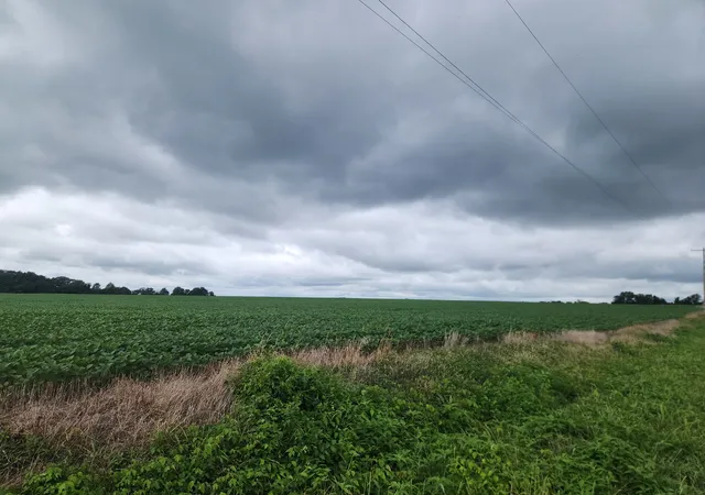Photo 1 of Sale Pending at 0000 Lost Prairie Rd, Coulterville, IL 62237 | MLS# 12725131 | Listing updated on 2026-08-10