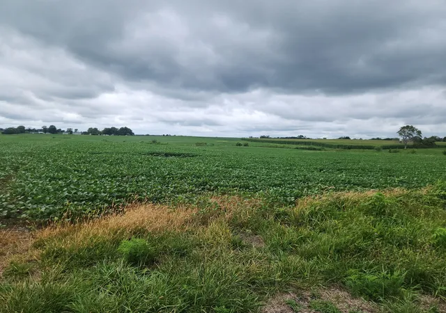 Photo 2 of Sale Pending at 0000 Lost Prairie Rd, Coulterville, IL 62237 | MLS# 12725131 | Listing updated on 2026-08-10