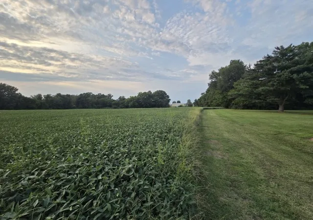 Photo 14 of Land for sale at 0 Phillip St, Waltonville, IL 62894 | MLS# 12726587 | Listing updated on 2026-08-12