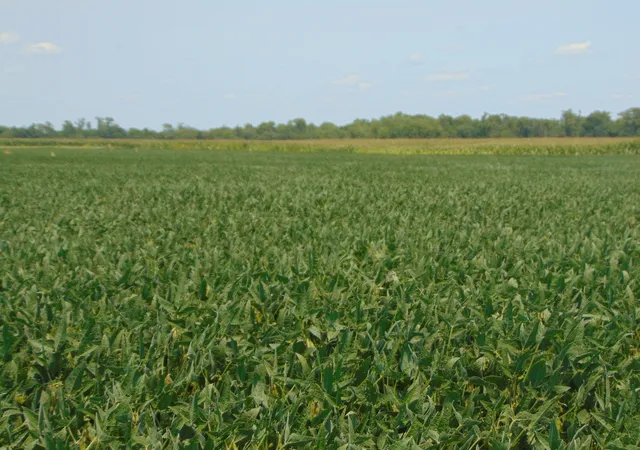 Photo 1 of Land for sale at 0000 State Route 14 Hwy, Duquoin, IL 62832 | MLS# 12726920 | Listing updated on 2026-08-12