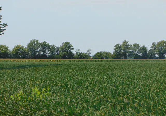 Photo 2 of Land for sale at 0000 State Route 14 Hwy, Duquoin, IL 62832 | MLS# 12726920 | Listing updated on 2026-08-12