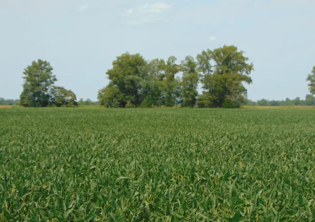 Photo 7 of Land for sale at 0000 State Route 14 Hwy, Duquoin, IL 62832 | MLS# 12726920 | Listing updated on 2026-08-12