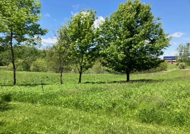 Photo 4 of Land for sale at 2801 N Brickhouses Rd, Urbana, IL 61802 | MLS# 12727188 | Listing updated on 2026-08-28