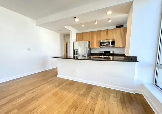 Photo 2 of Condo for sale at 1250 S Michigan Ave #1209, Chicago, IL 60605 | MLS# 12736200 | Listing updated on 2026-09-23