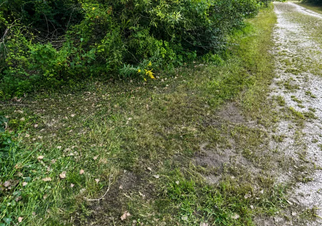 2nd image of 0000 15500 Road, Pembroke Twp, IL 60958 | MLS# 12738240