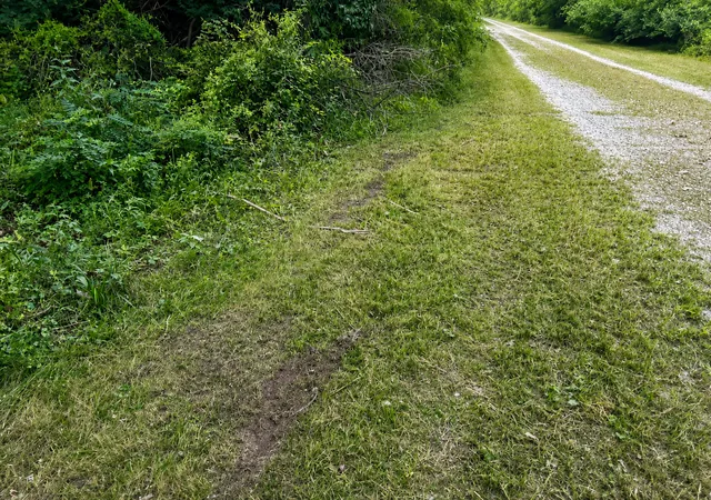 4th image of 0000 15500 Road, Pembroke Twp, IL 60958 | MLS# 12738240