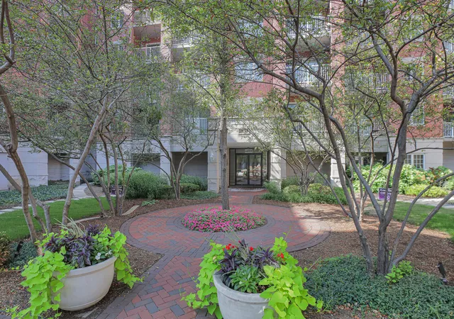 Listing Photo 4 - Condo for sale in building located at 4833 N Olcott Ave, Harwood Heights, IL 60706 - Unit #201