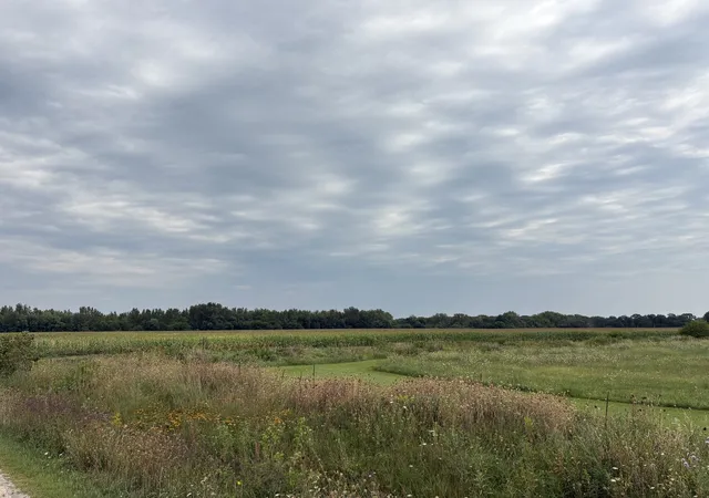 Land for sale at 00 W Rt 113, Custer Park, IL 60481 | MLS# 12740969