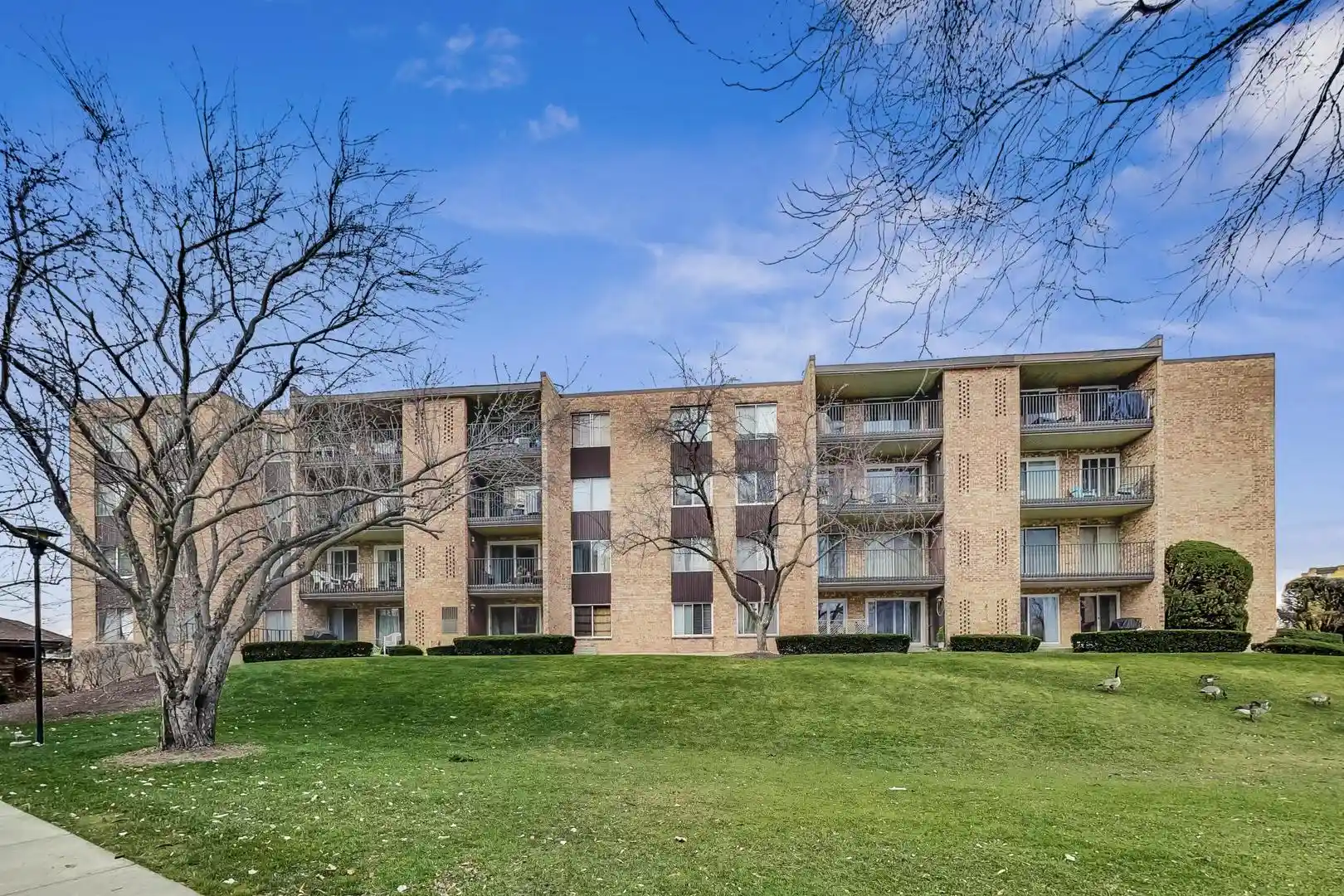 Listing Photo 2 - Condo for sale in 1101 S Hunt Clb Dr located at 1101 S Hunt Clb Dr, Mount Prospect, IL 60056 - Unit #204