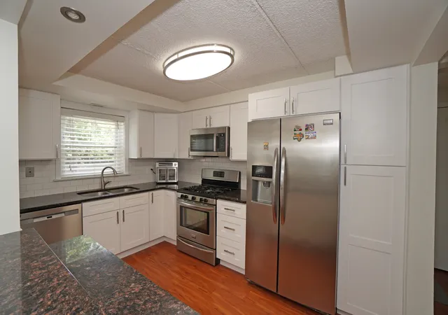 Listing Photo 5 - Condo for sale in building located at 1003 S Euclid Ave, Elmhurst, IL 60126 - Unit #1