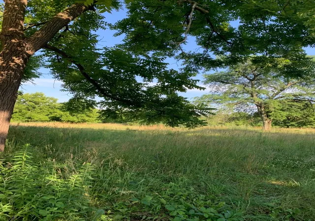 Photo 22 of Land for sale at 3523 Long Grv Rd, Long Grove, IL 60047 | MLS# 12747946 | Listing updated on 2026-09-07