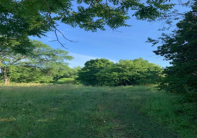 Photo 2 of Land for sale at 3523 Long Grv Rd, Long Grove, IL 60047 | MLS# 12747946 | Listing updated on 2026-09-07