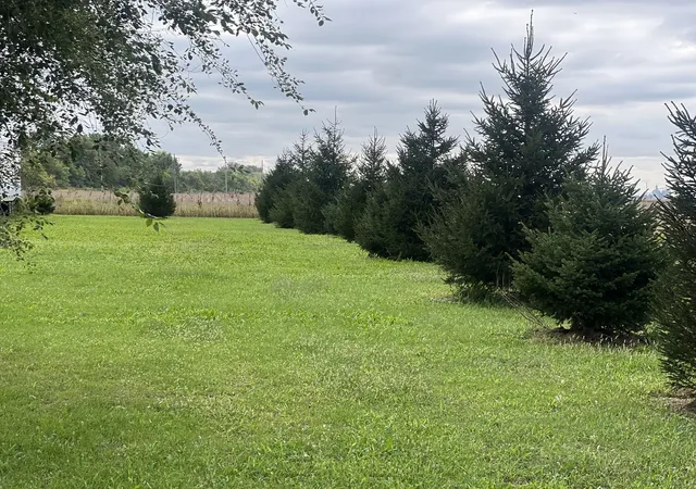 Photo 4 of Single family home for sale at 513 E 1100 North Rd, Buckley, IL 60918 | MLS# 12749044 | Listing updated on 2026-10-07