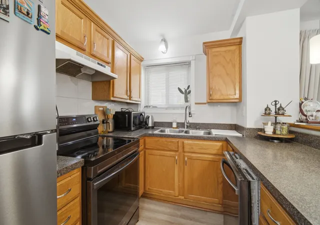 Listing Photo 4 - Condo for sale in building located at 427 S Elmwood Ave, Oak Park, IL 60302 - Unit #2