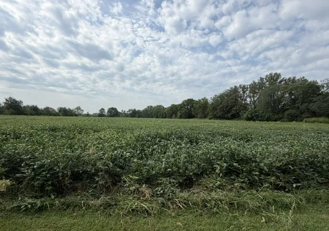Photo 2 of Single family home for sale at 13698 W 4250n Rd, Essex, IL 60935 | MLS# 12749962 | Listing updated on 2026-09-13