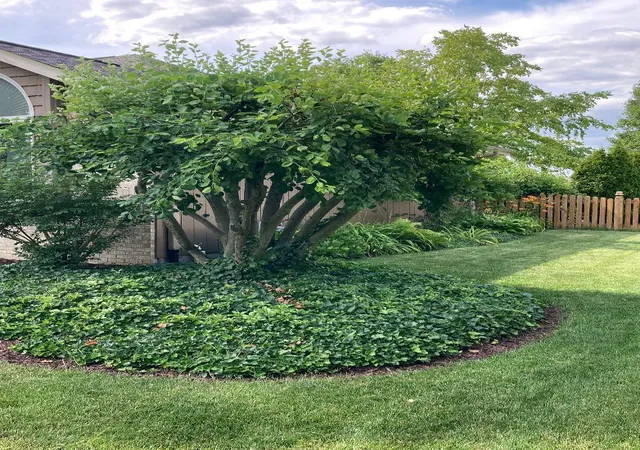 Photo 3 of Single family home for sale at 1223 Wales Ct, Shorewood, IL 60404 | MLS# 12751627 | Listing updated on 2026-09-22