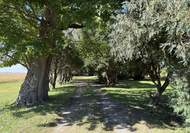 Photo 2 of Land for sale at 305 N Michigan St, Ashkum, IL 60911 | MLS# 12754020 | Listing updated on 2026-10-06