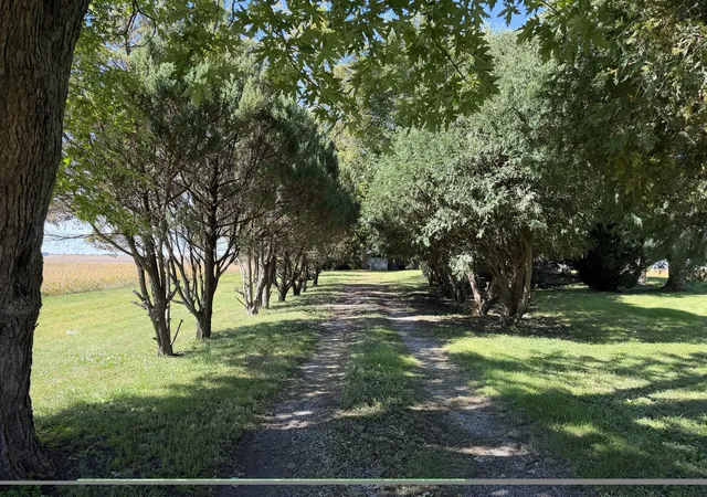 Photo 3 of Land for sale at 305 N Michigan St, Ashkum, IL 60911 | MLS# 12754020 | Listing updated on 2026-10-06
