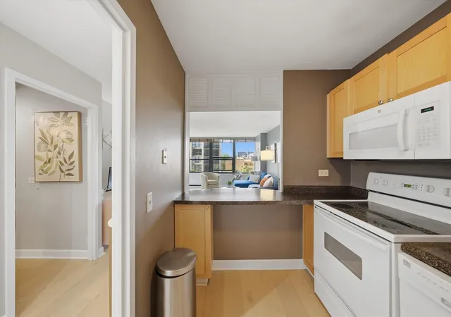 Photo 1 of Condo for sale at 1560 N Sandburg Ter #507J, Chicago, IL 60610 | MLS# 12754730 | Listing updated on 2026-09-16