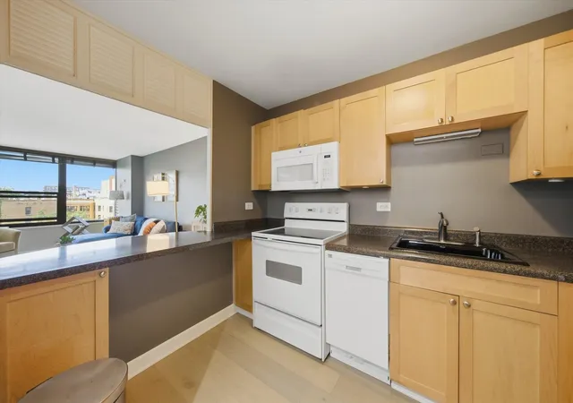Photo 3 of Condo for sale at 1560 N Sandburg Ter #507J, Chicago, IL 60610 | MLS# 12754730 | Listing updated on 2026-09-16