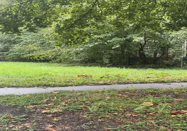 Photo 2 of Land for sale at 12129 S Parnell Ave, Chicago, IL 60628 | MLS# 12755336 | Listing updated on 2026-09-15