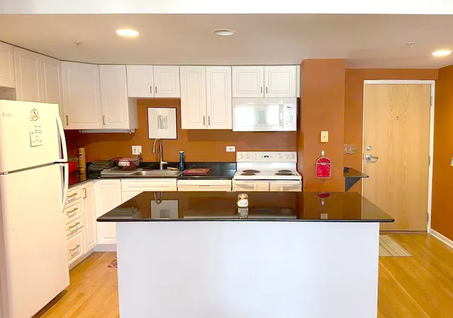 Photo 3 of Condo for sale at 1041 Susan Collins Ln #501, Oak Park, IL 60302 | MLS# 12755433 | Listing updated on 2026-09-15