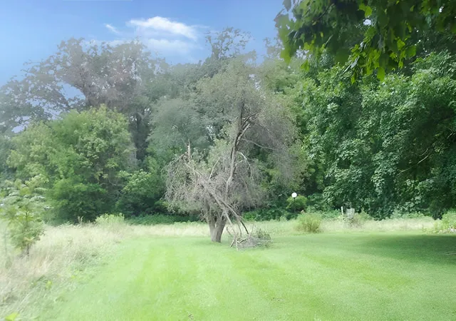Photo 3 of Single family home for sale at 6272 Old Dam Rd, Georgetown, IL 61846 | MLS# 12755443 | Listing updated on 2026-09-28