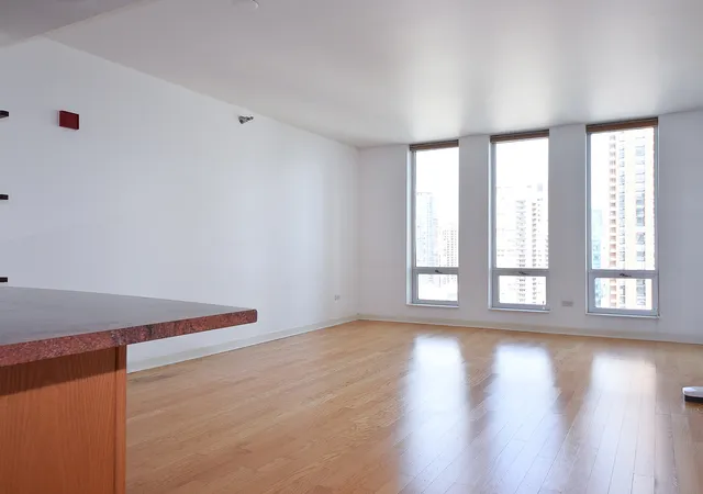 Photo 3 of Condo for sale at 1250 S Michigan Ave #2205, Chicago, IL 60605 | MLS# 12755759 | Listing updated on 2026-09-16