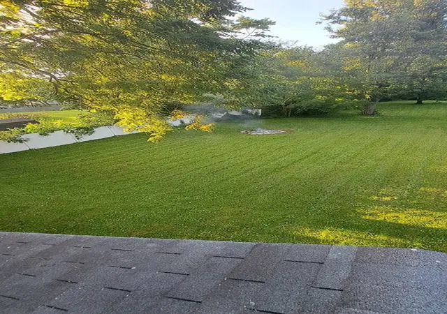 Photo 2 of Single family home for sale at 177 E Francis Rd, New Lenox, IL 60451 | MLS# 12755861 | Listing updated on 2026-09-15