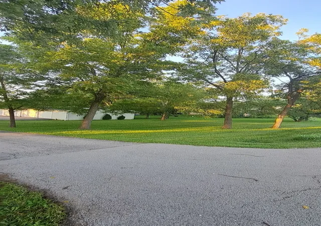 Photo 4 of Single family home for sale at 177 E Francis Rd, New Lenox, IL 60451 | MLS# 12755861 | Listing updated on 2026-09-15
