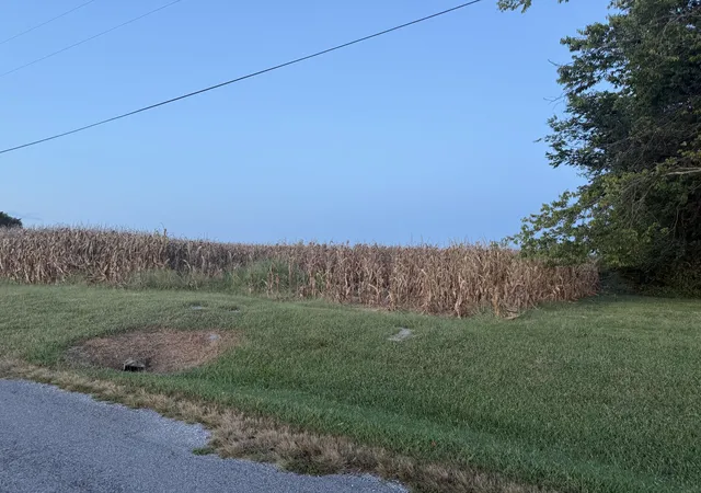 Photo 1 of Land for sale at 000 Coffee Rd, Raleigh, IL 62977 | MLS# 12756350 | Listing updated on 2026-09-13