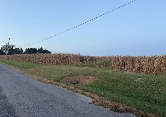 Photo 2 of Land for sale at 000 Coffee Rd, Raleigh, IL 62977 | MLS# 12756350 | Listing updated on 2026-09-13