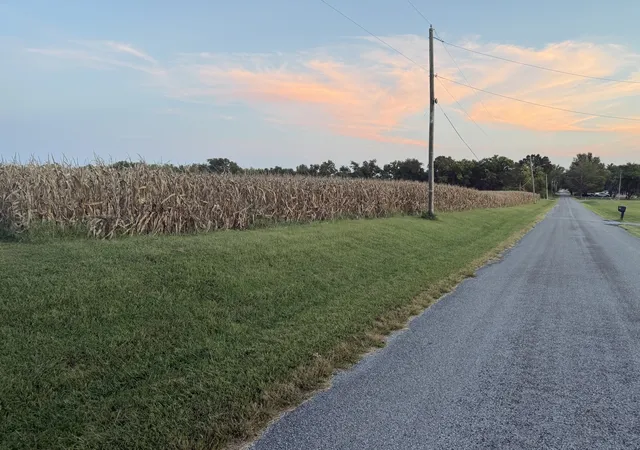 Photo 4 of Land for sale at 000 Coffee Rd, Raleigh, IL 62977 | MLS# 12756350 | Listing updated on 2026-09-13