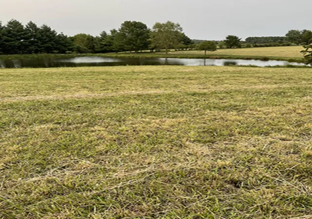 Photo 3 of Land for sale at 2238 W Crossroad Rd, Vienna, IL 62995 | MLS# 12757266 | Listing updated on 2026-09-26