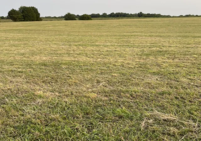 Photo 4 of Land for sale at 2238 W Crossroad Rd, Vienna, IL 62995 | MLS# 12757266 | Listing updated on 2026-09-26