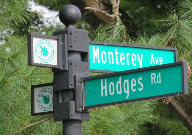 Photo 4 of Land for sale at 17w071 Hodges Rd, Oakbrook Terrace, IL 60181 | MLS# 12757332 | Listing updated on 2026-09-27