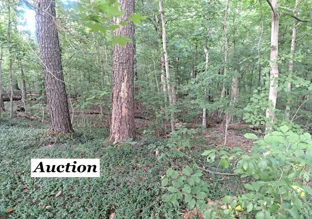 Photo 1 of Land for sale at 3952 & 4013 Devils Frk Rd, Carbondale, IL 62901 | MLS# 12757430 | Listing updated on 2026-09-17