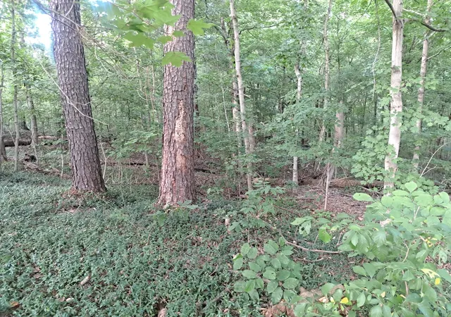 Photo 2 of Land for sale at 3952 & 4013 Devils Frk Rd, Carbondale, IL 62901 | MLS# 12757430 | Listing updated on 2026-09-17