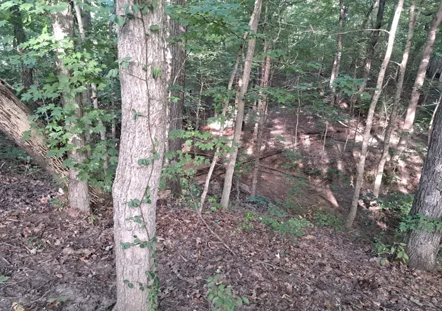 Photo 4 of Land for sale at 3952 & 4013 Devils Frk Rd, Carbondale, IL 62901 | MLS# 12757430 | Listing updated on 2026-09-17