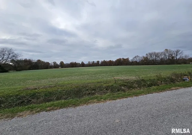 Land for sale at 0000 Bethel Rd, Mt Vernon, IL 62864 | MLS# 12758134