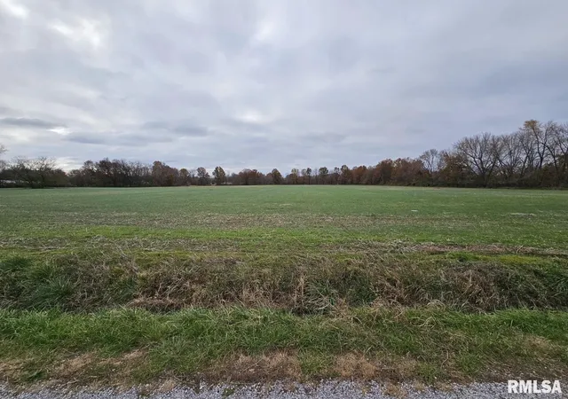 Photo 3 of Land for sale at 0000 Bethel Rd, Mt Vernon, IL 62864 | MLS# 12758134 | Listing updated on 2026-10-02